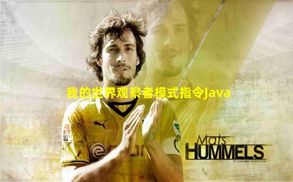 我的世界观察者模式指令Java